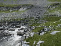 CH, Wallis, Leukerbad, Lammerendalu 3, Saxifraga-Willem van Kruijsbergen